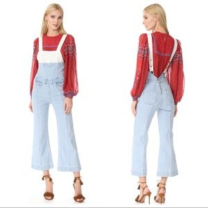 Ulla Johnson Ombre 70's Style Wide Leg Overalls